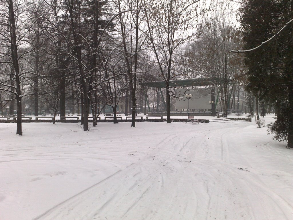 Park Under Snow