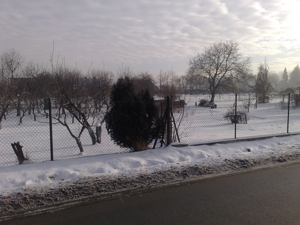 View From Stawowa Street
