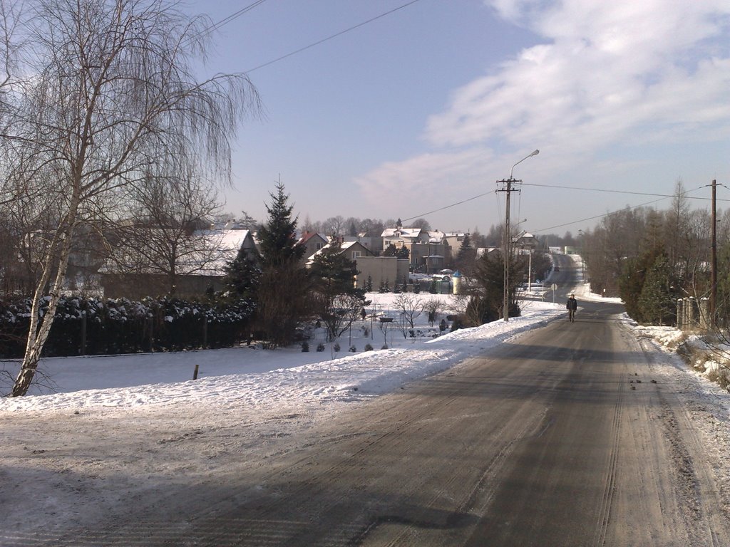 View From Lukowa Street
