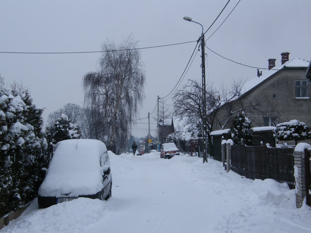 Clearing The Snow