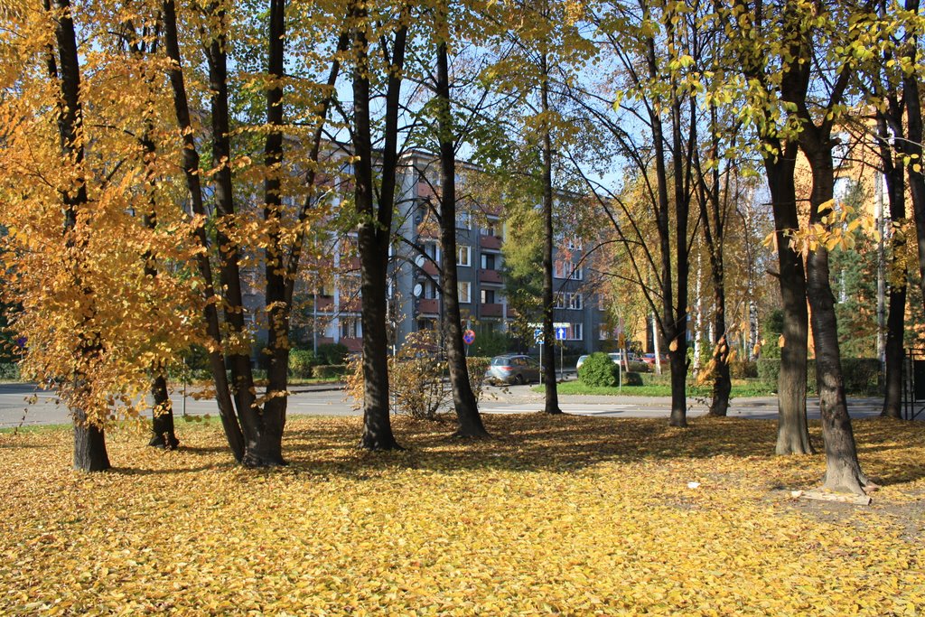 Golden Carpet