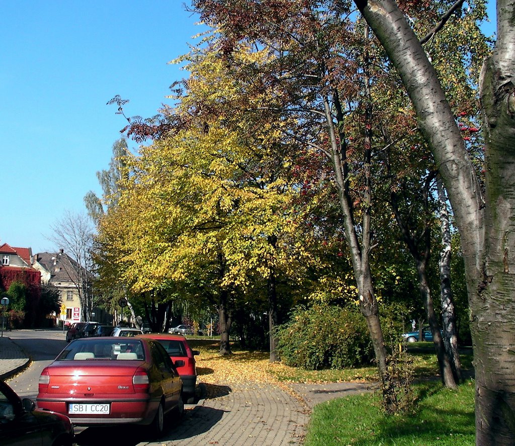 ULICA M.KONOPNICKIEJ.