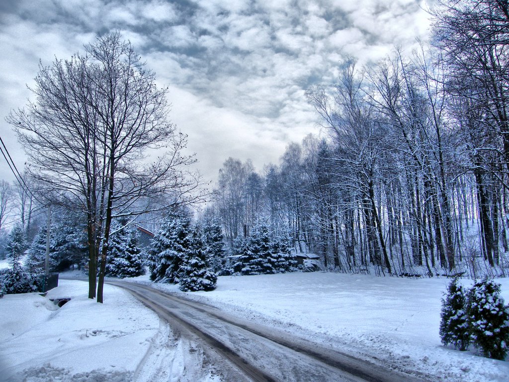 Podkepie @ Winter