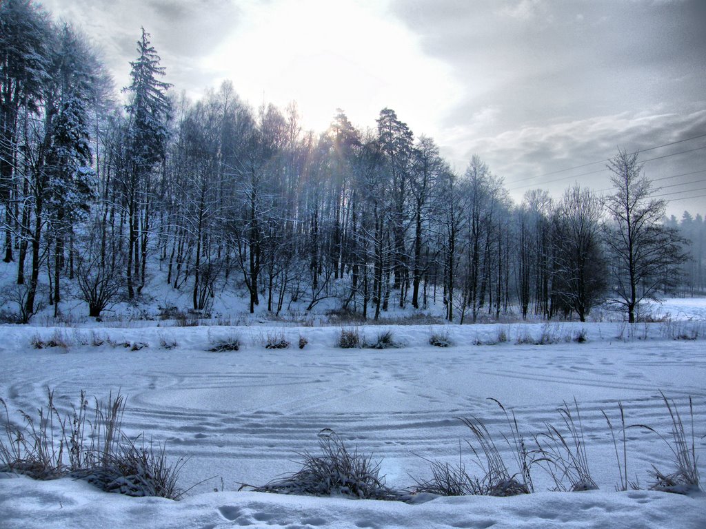 Part Of Laczkowiec Res.