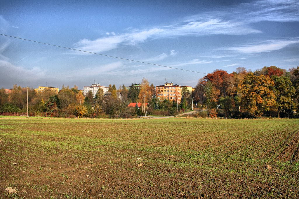 Part Of Czechowice-Dziedzice, From Stawowa Street