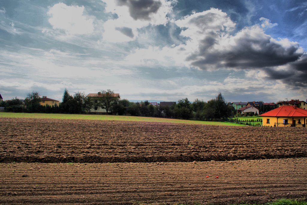 Czechowice-Dziedzice, Suburbs