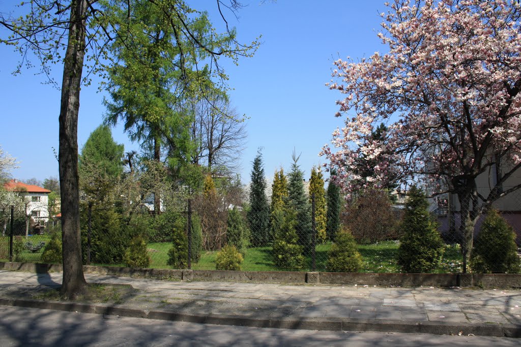 Spring In Lesisko