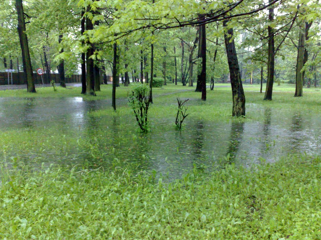Park, Swamp