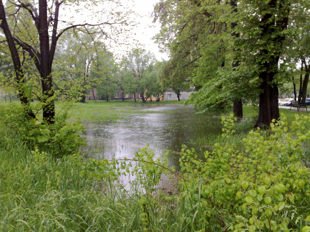 Flood Plain
