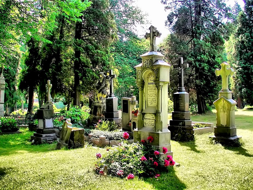 CMENTARZ PRZY KOŚCIELE ŚW. KATARZYNY.