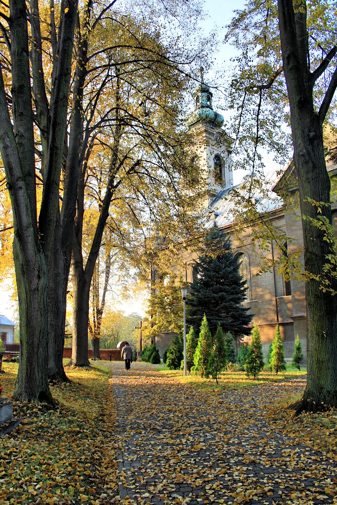Jesien Przy Kosciele Sw Katarzyny