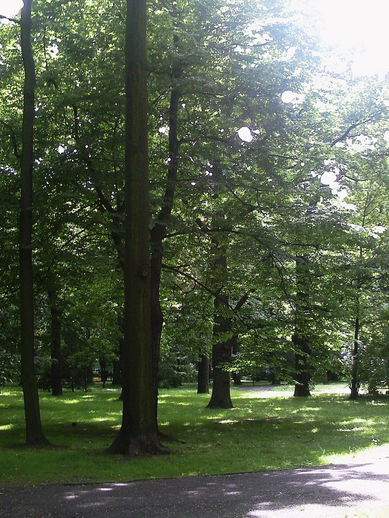 Park Miejski