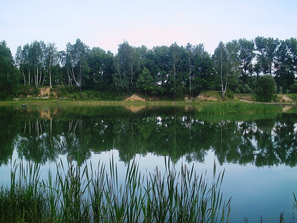 Staw rzęsa