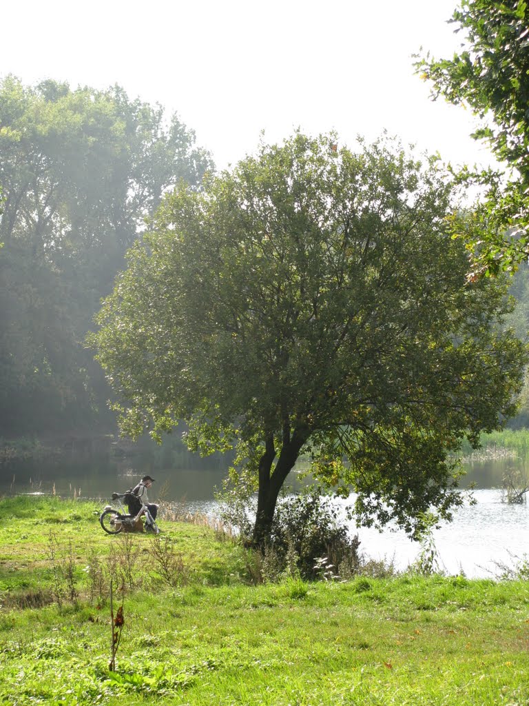 Staw Rzęsa, Siemianowice