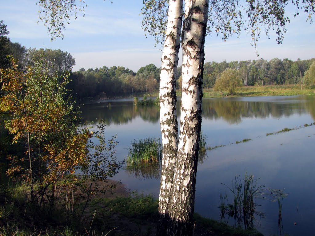 Staw Rzęsa - Siemianowice Śląskie