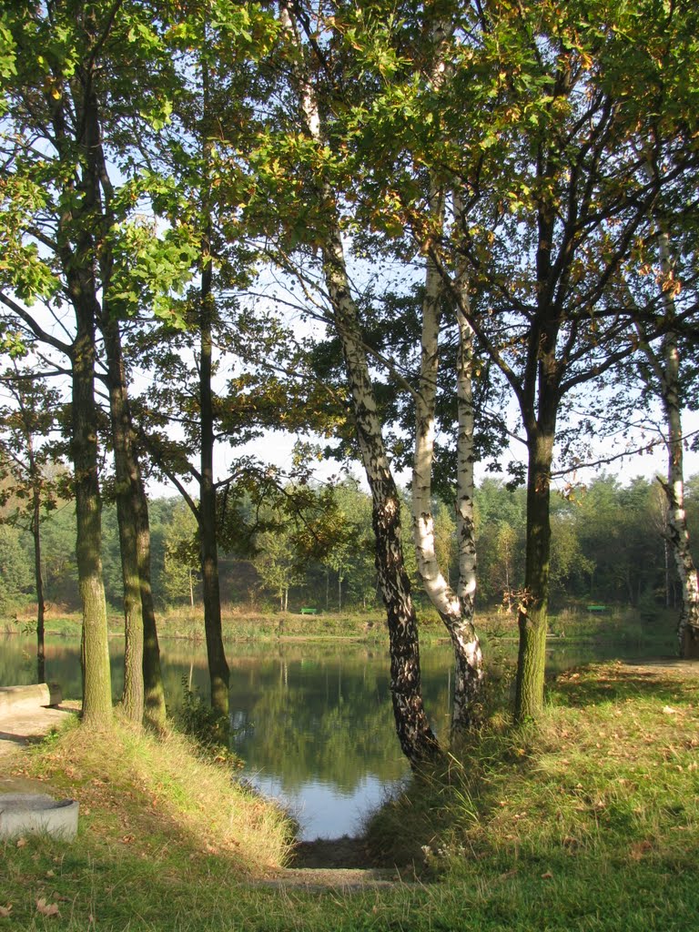 Staw Rzęsa - Siemianowice Śląskie