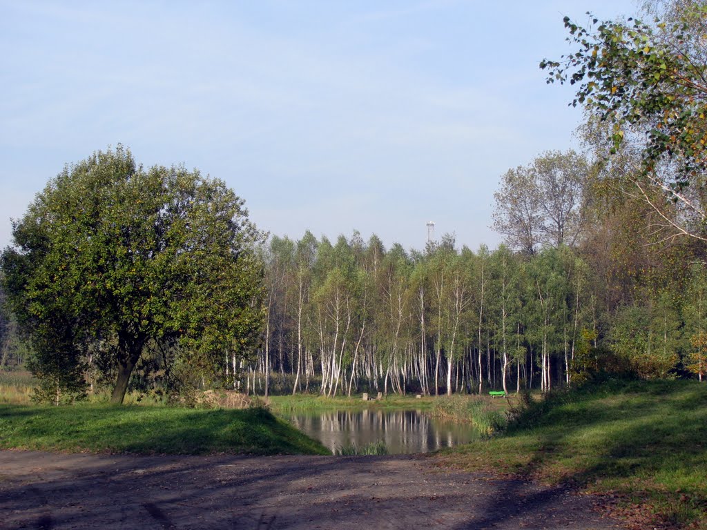 Staw Rzęsa -  Siemianowice