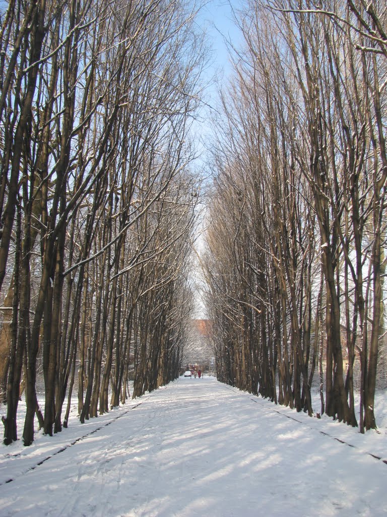 Park Miejski Siemianowice, ul. Chopina