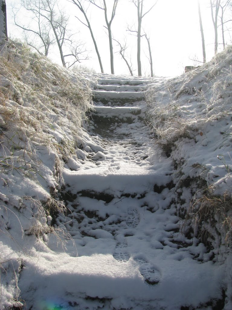 Staw Rzęsa, Siemianowice Śląskie, 2010