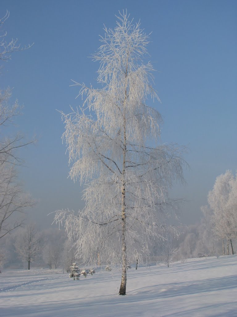 Siemianowice okolica Stawu Rzęsa