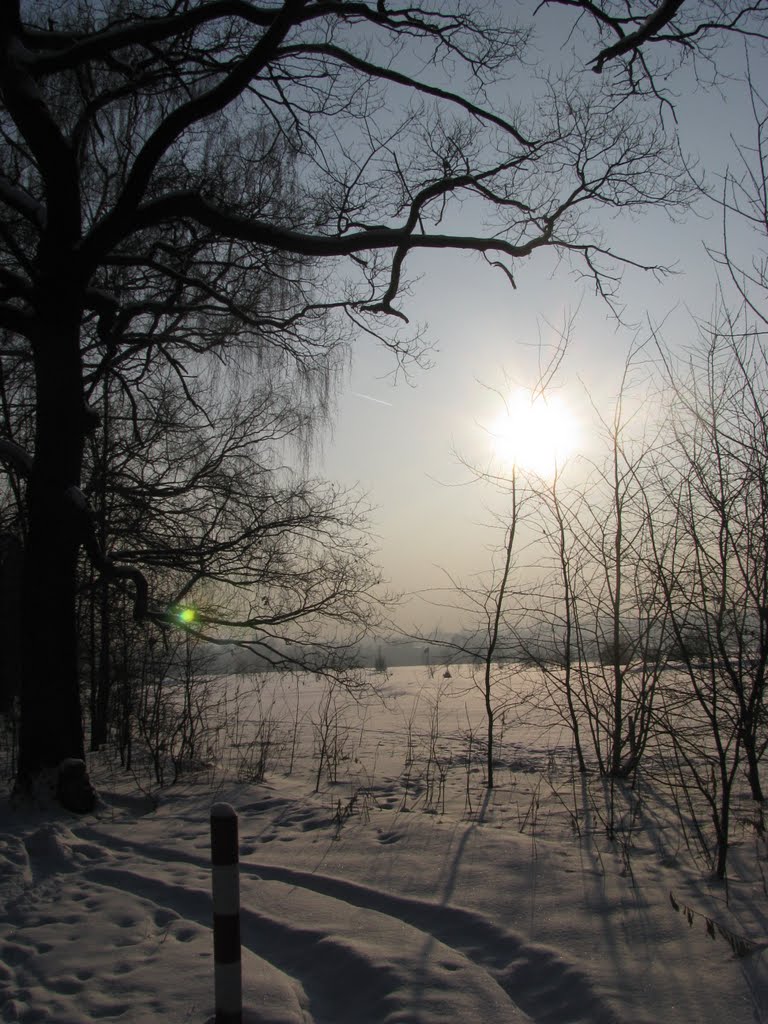Pole golfowe, Siemianowice