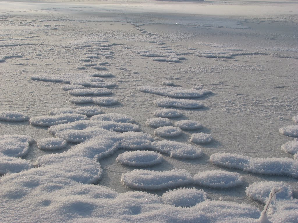 Staw "Remiza", Siemianowice 2010
