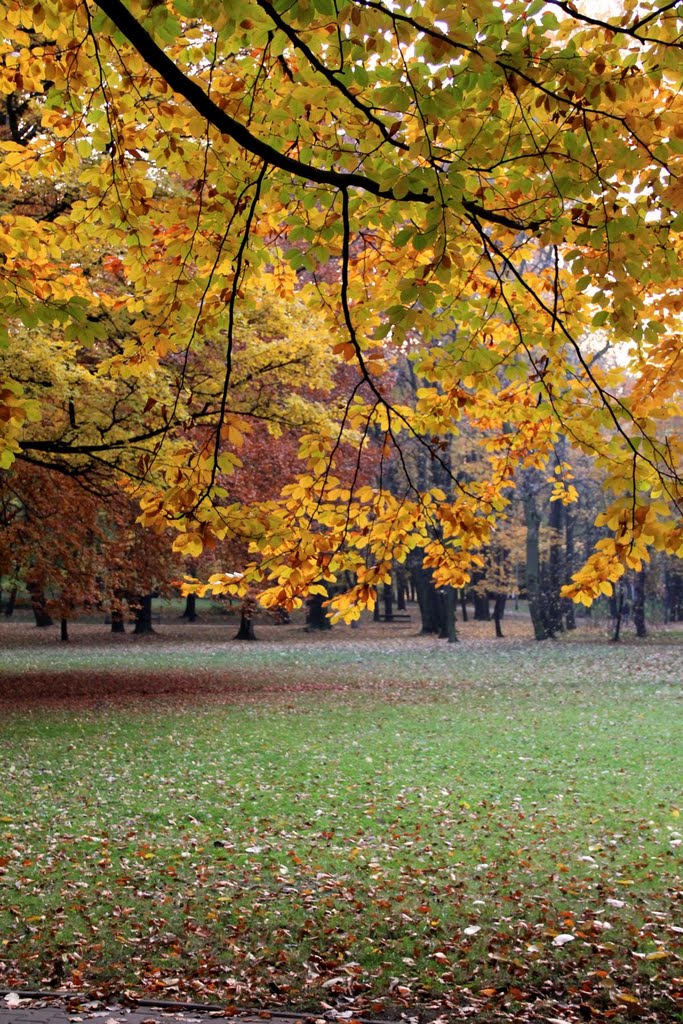 Siemianowice Sl. -Michalkowice   Park  (Jesien)  -   PL