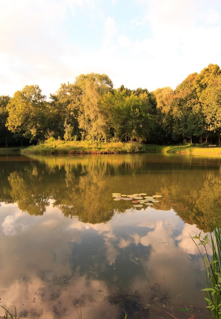 Siemianowice SL.-Michalkowice- Park -PL