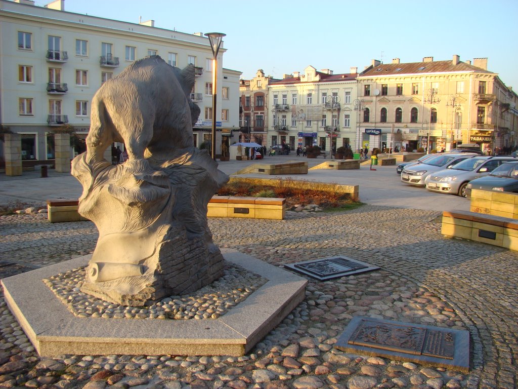 Dzik - Symbol Kielc