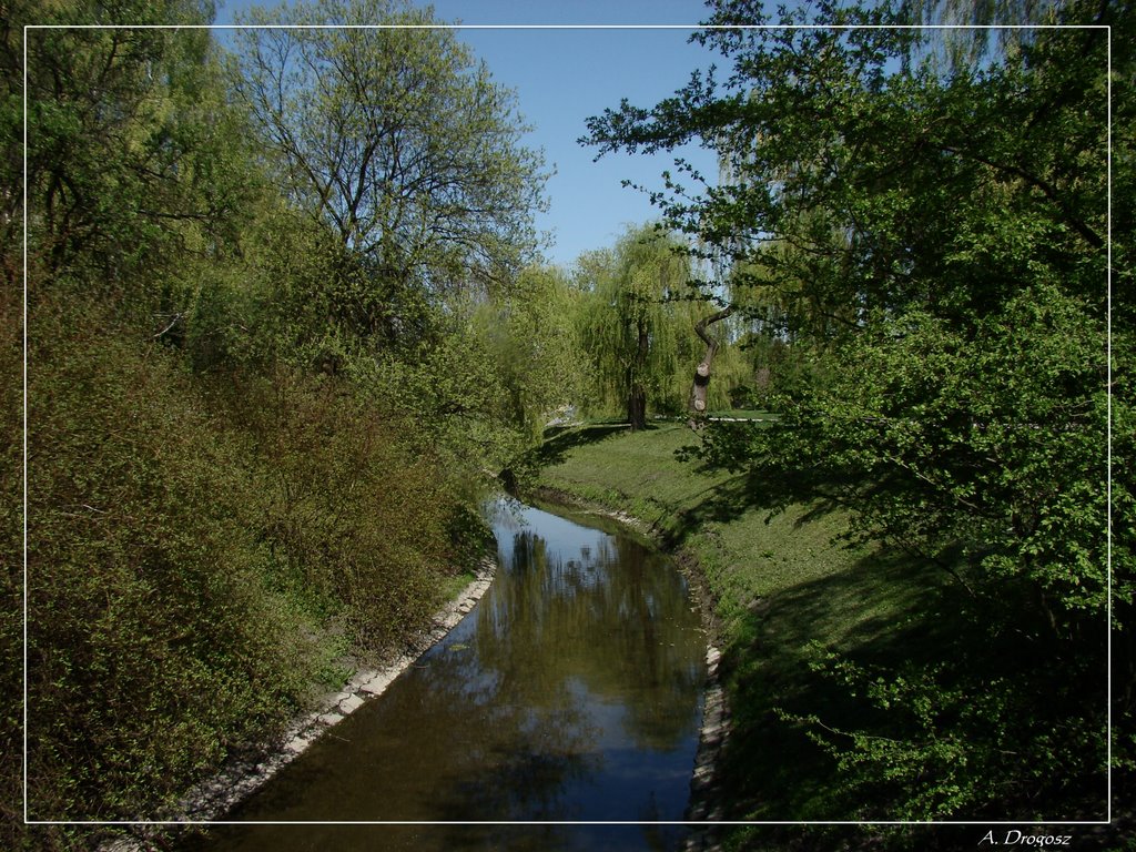 Silnica