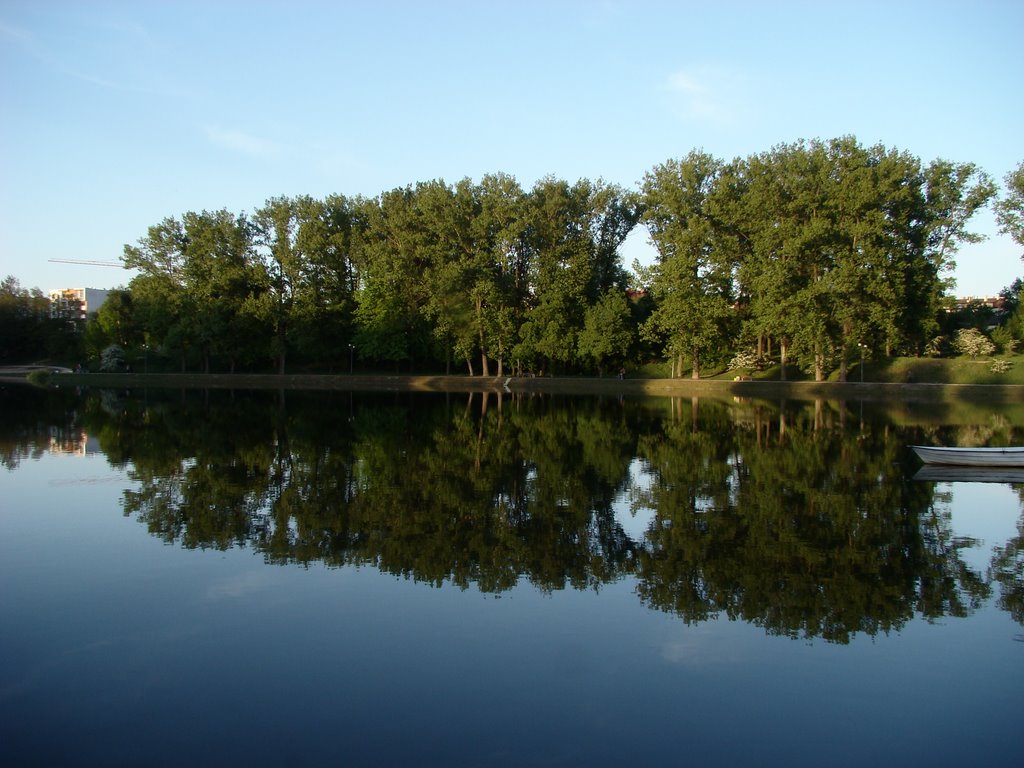 Reflection of trees.