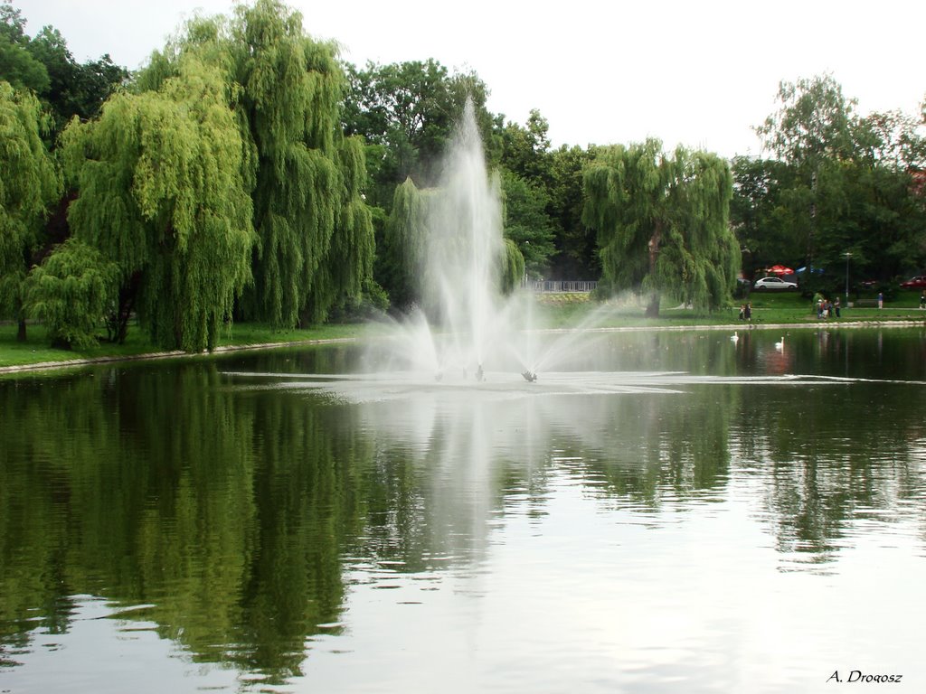 Fountain in city park.