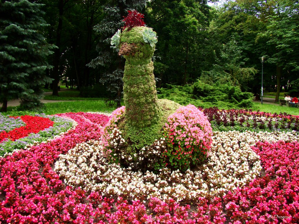Floral peacock .