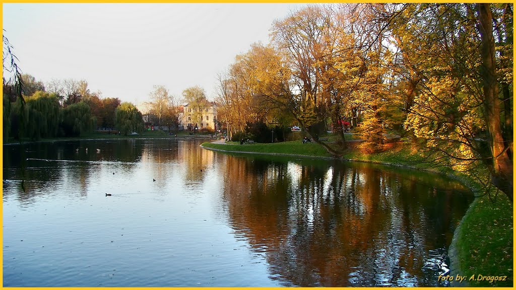 The autumn in the city park.
