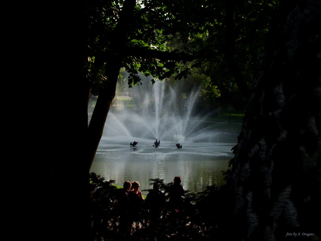 A beautiful day in Kielce city park.