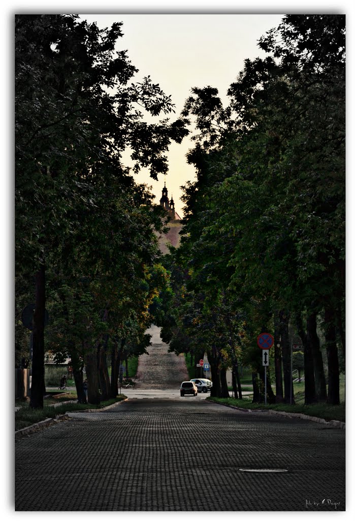 The road to the Monastery.