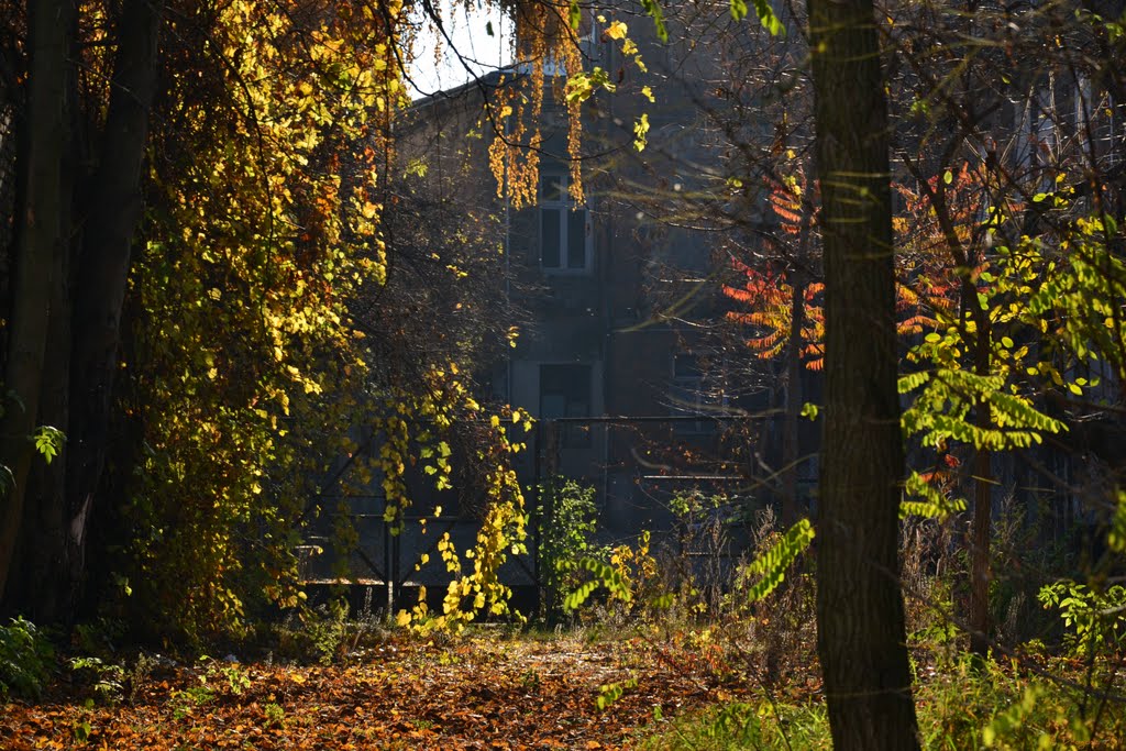 Lost place in the city center.