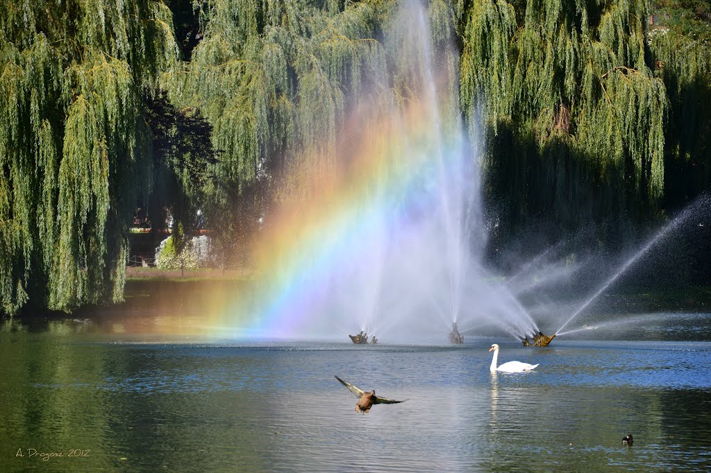 Rainbow fountain.