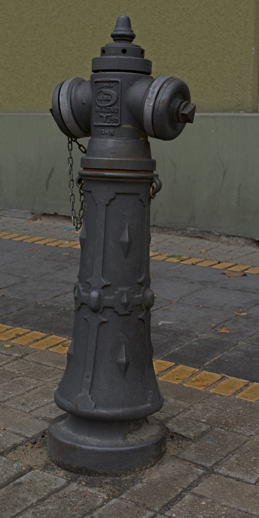 Stoję na straży. Guard.
