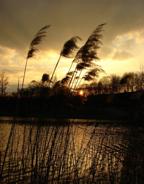 Sunset.