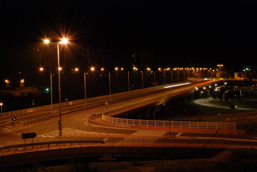 wiadukt w Gnieźnie 2008