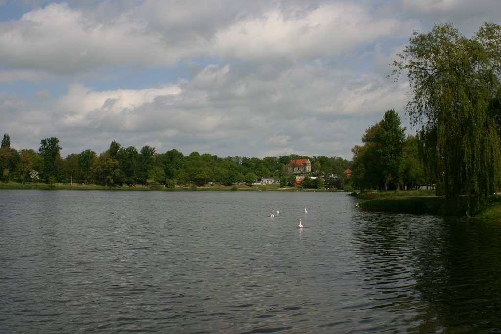 jez.JELONEK  (WENECJA)