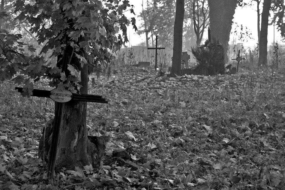 Cmentarz przy ul. Dalkoskiej wrzesień 2008