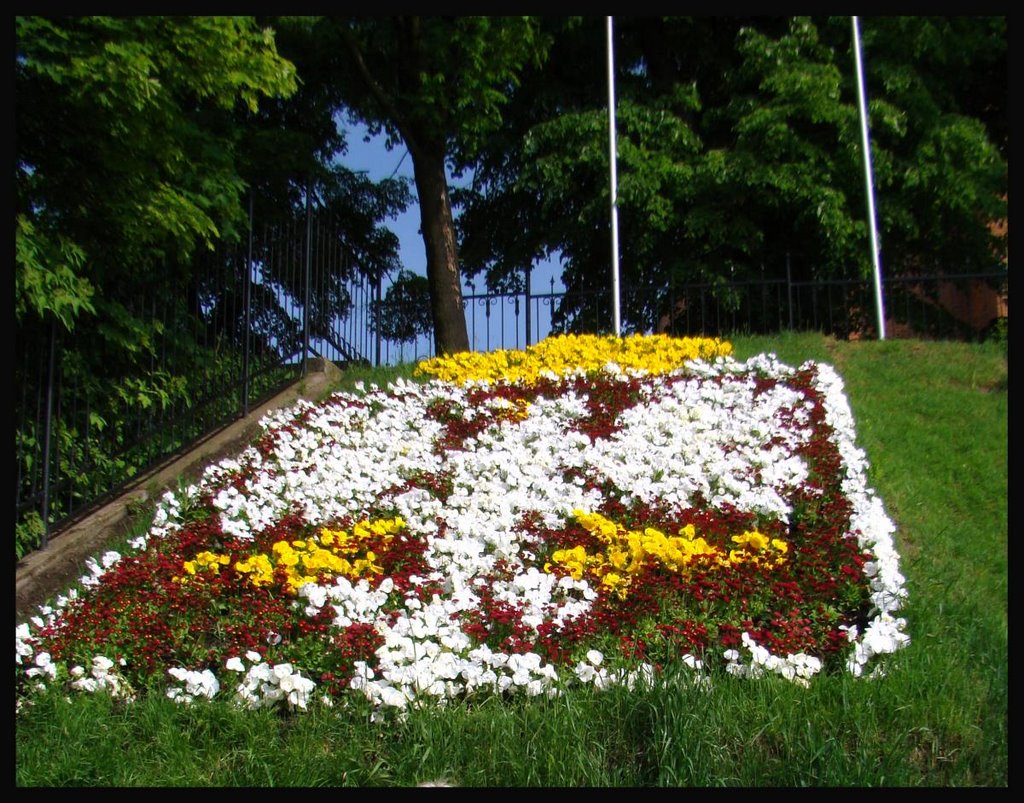 Godło