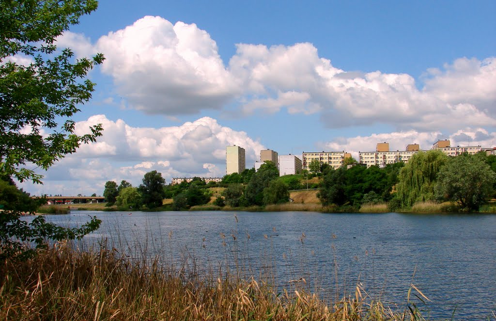 J. Winiary - Gniezno.