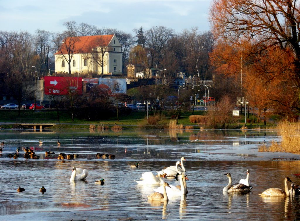 Gniezno . Jeden dzień wiosny w środku zimy.
