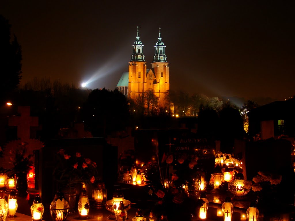 Katedra gnieźnieńska widok z cmentarza św. Piotra. 02.11. 2011 r.