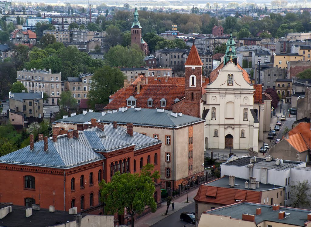 widok z wieży katedralnej w Gnieźnie