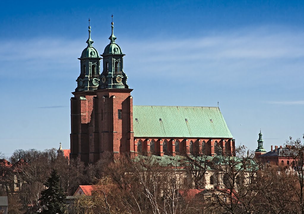 katedra w Gnieźnie