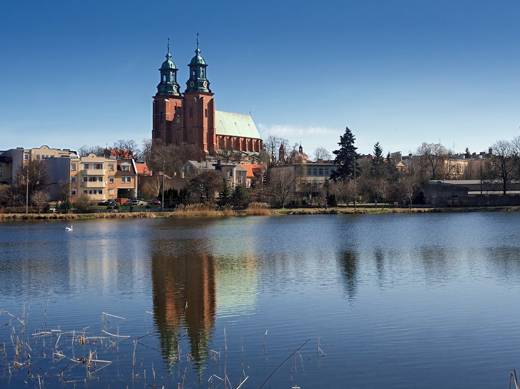 Gniezno, nad jeziorem Jelonek